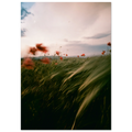 3c6ac556-fd0a-4d16-841b-776d1ccef866