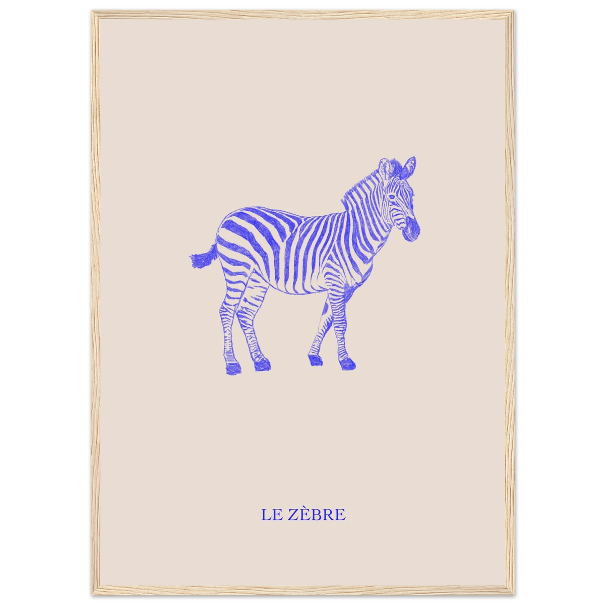 Le zèbre version bleu électrique, illustration au crayon d'Aude de Riberolles – affiche encadrée