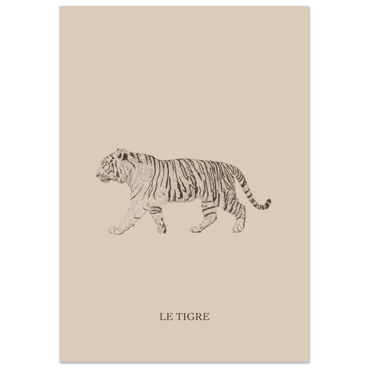 Le tigre version marron, illustration au crayon d'Aude de Riberolles – affiche chambre bébé