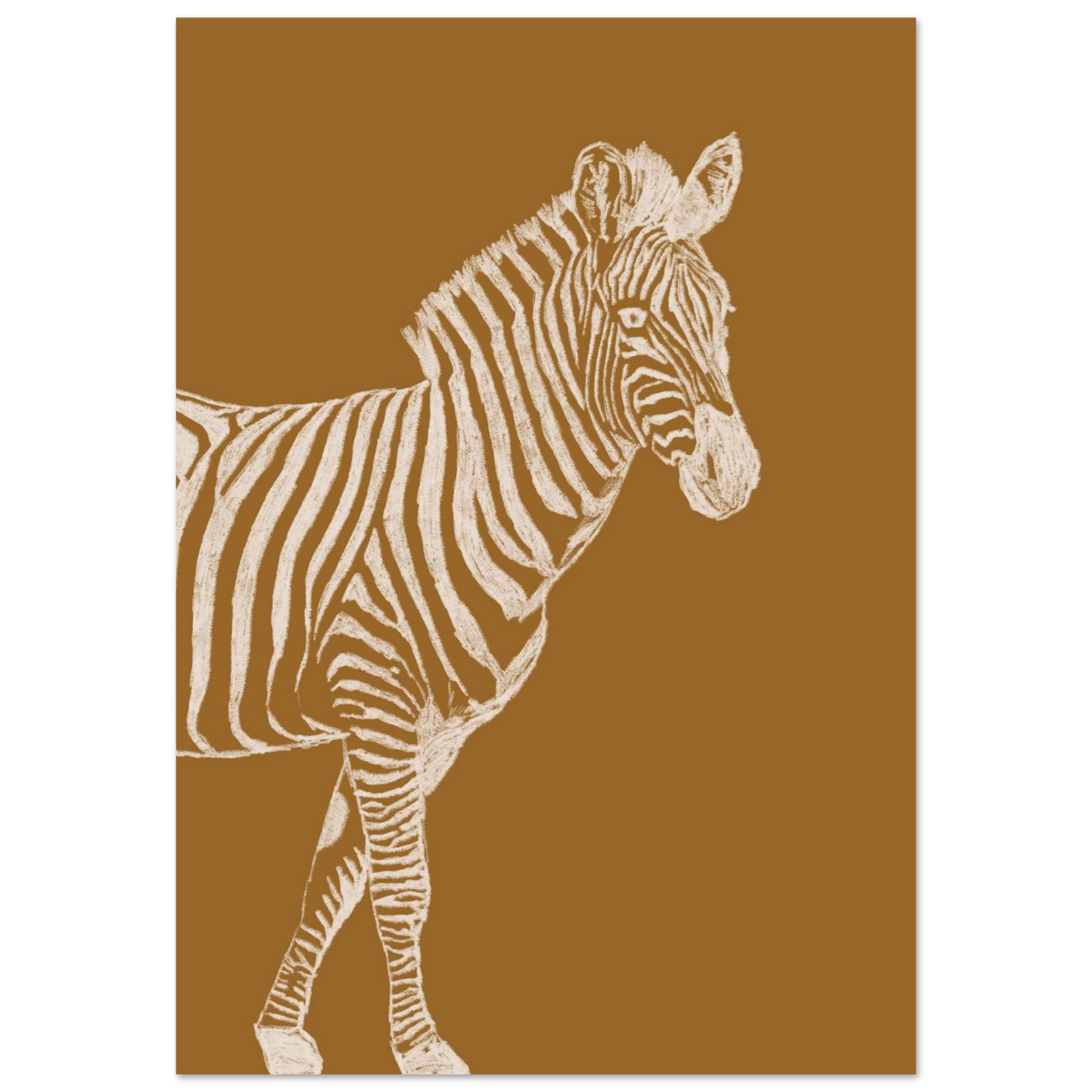 Le zèbre version camel, illustration au crayon d'Aude de Riberolles – affiche chambre d'enfant