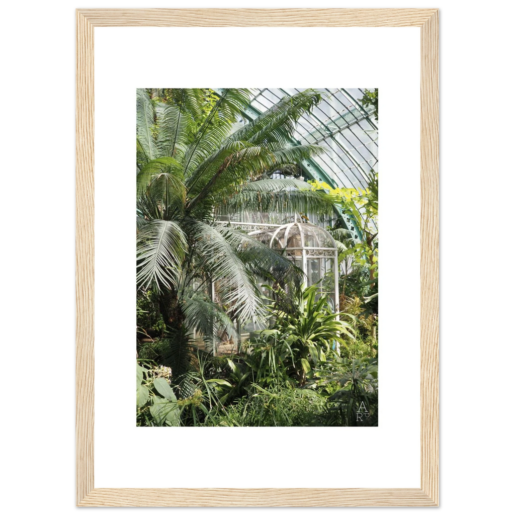 Serre parisienne N°2 encadrée, nature urbaine à Paris – ADR Gallery