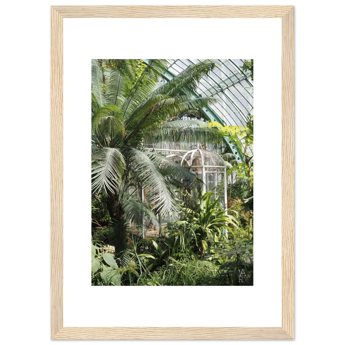 Serre parisienne N°2 encadrée, nature urbaine à Paris – ADR Gallery