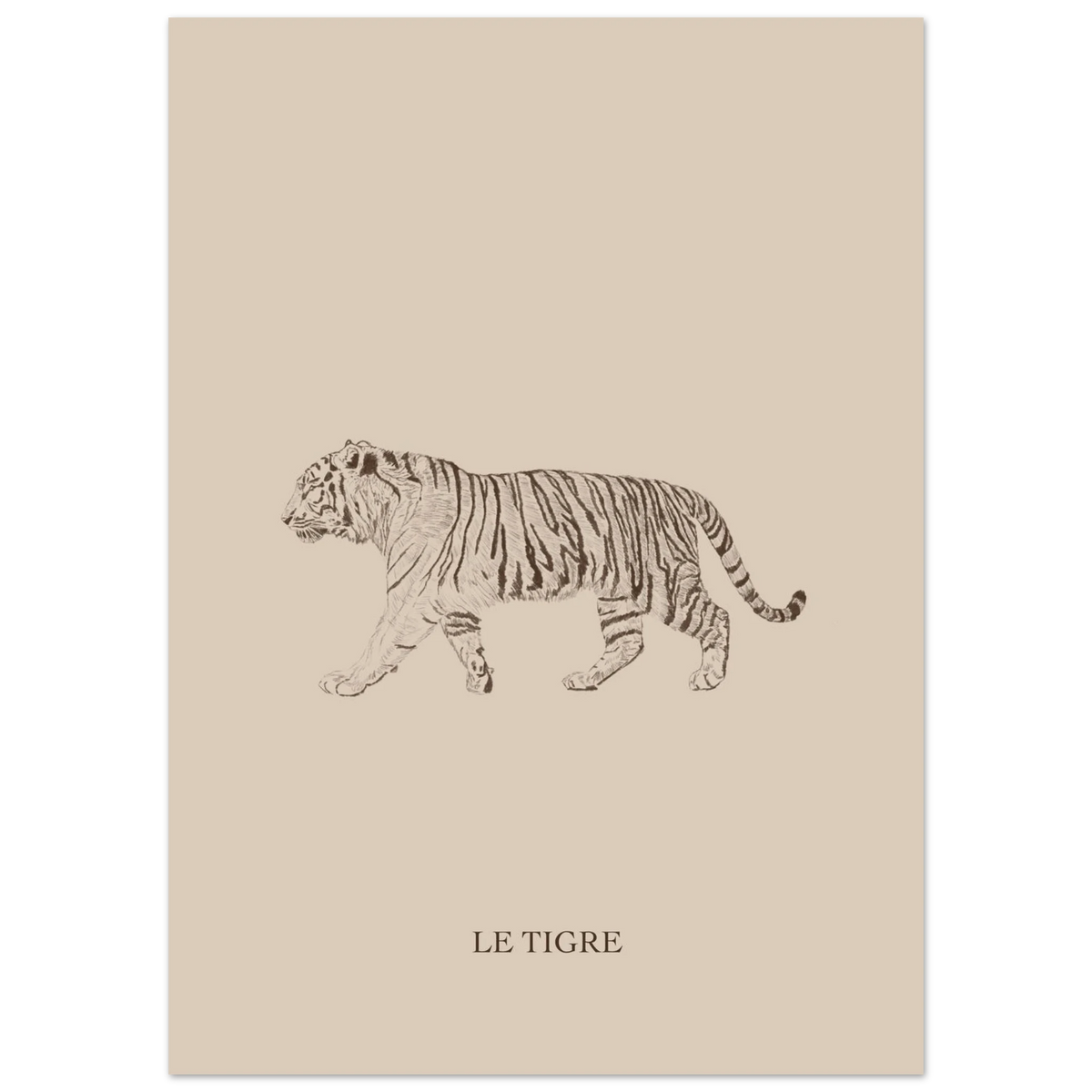 Le tigre version marron, dessin au crayon aux tons chaleureux