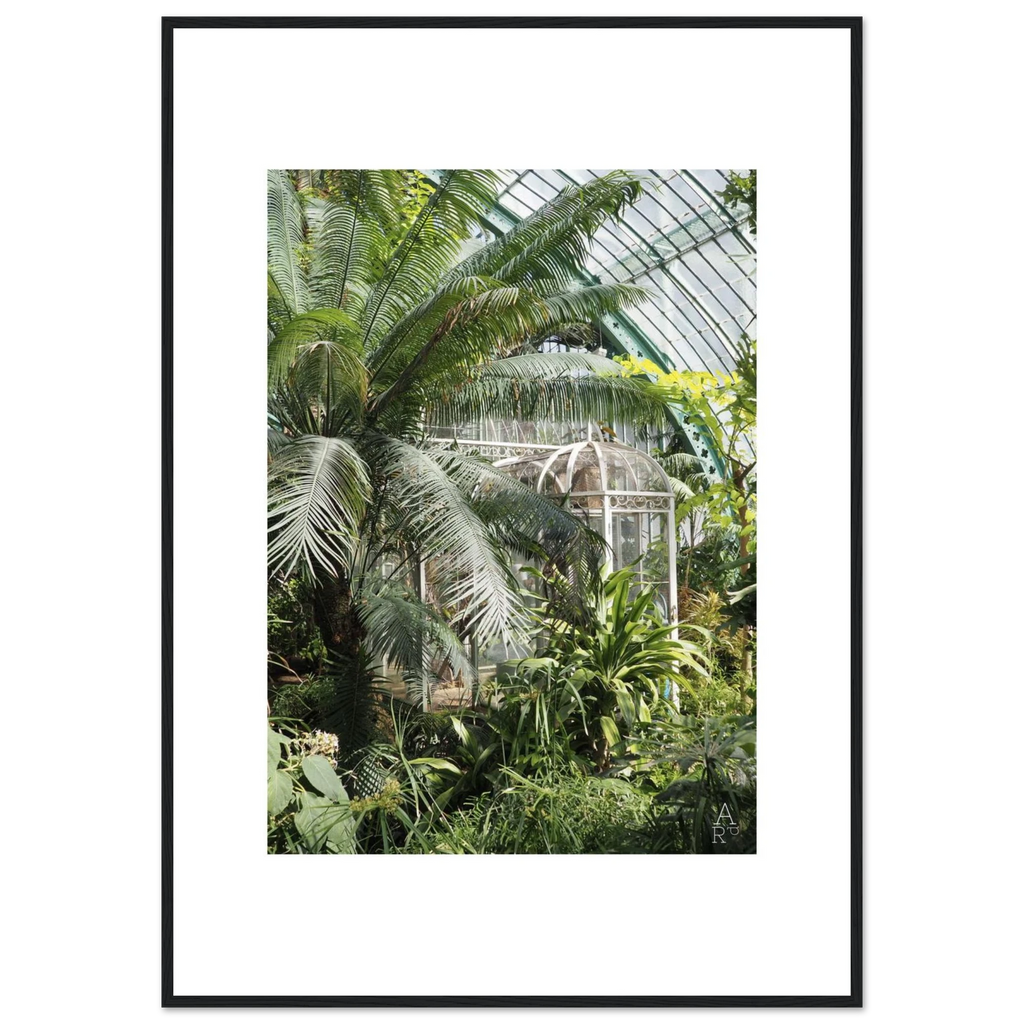 Serre parisienne N°2 en cadre bois, photo d'art sur papier premium