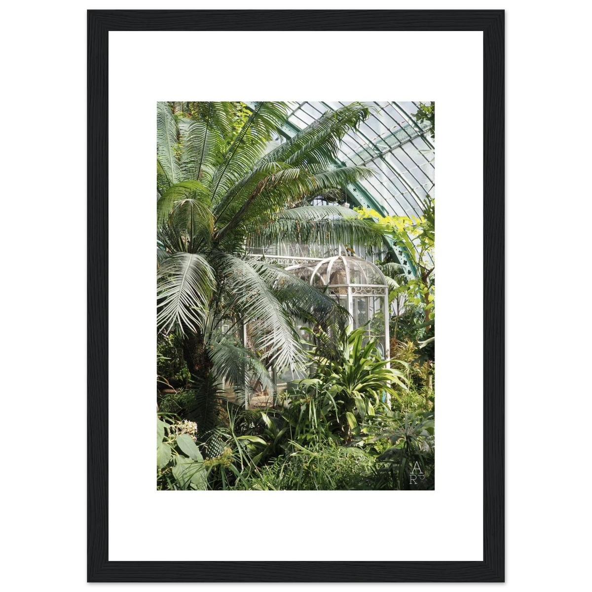 Serre parisienne N°2, affiche photo encadrée bois noir – ADR Gallery