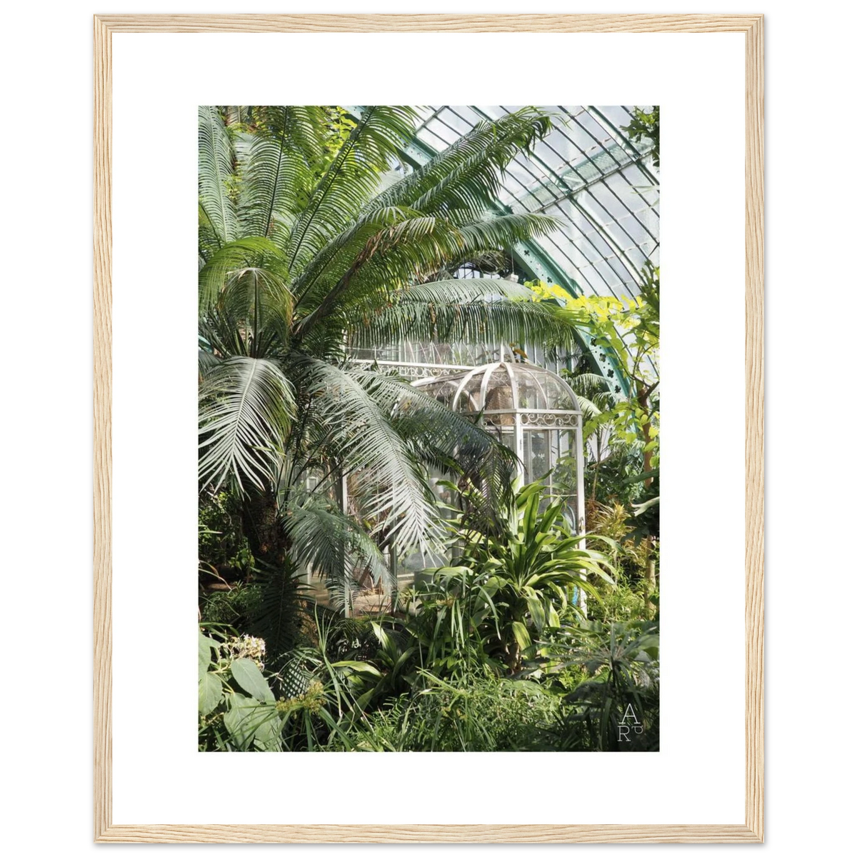 Serre parisienne N°2, photographie végétale d'Aude de Riberolles