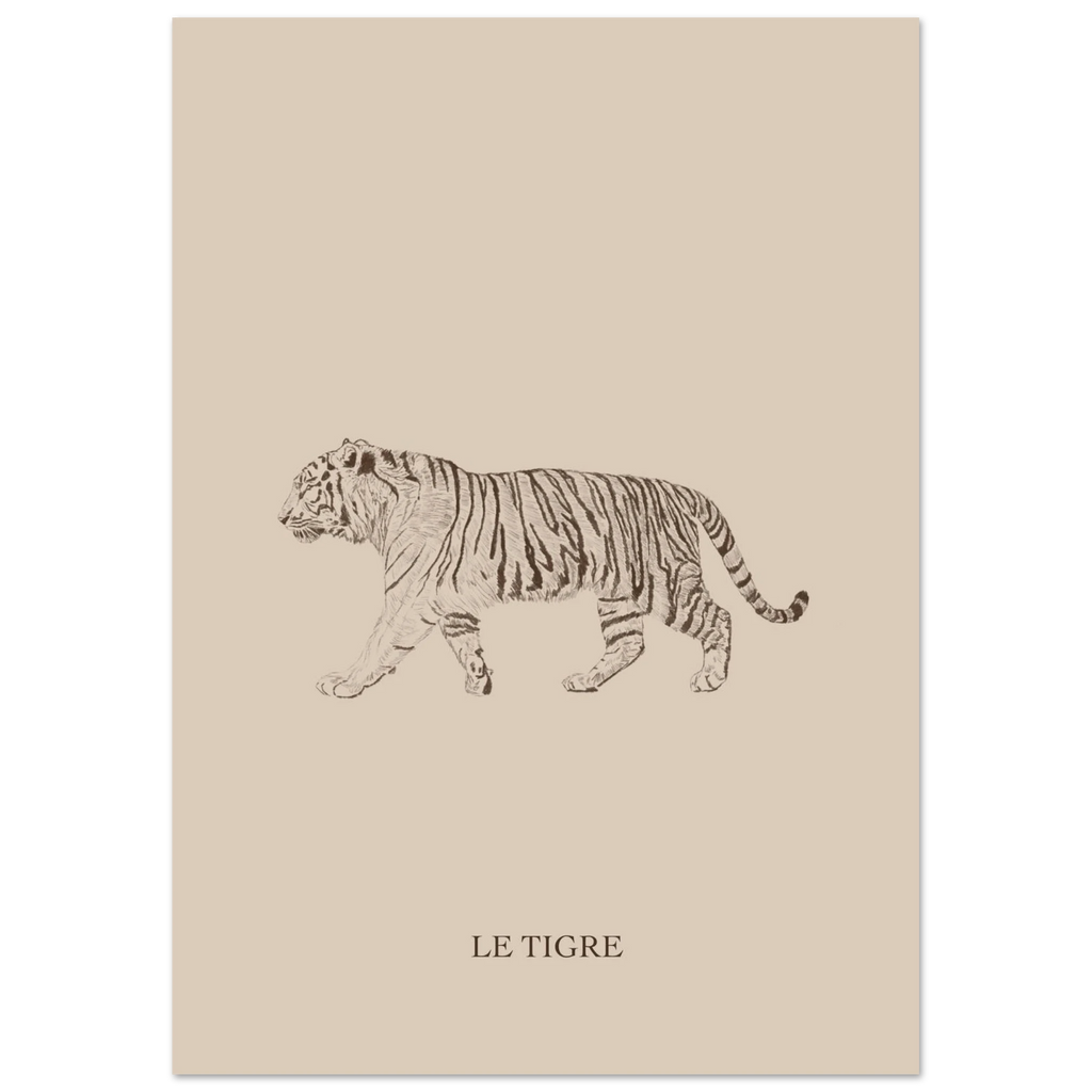 Le tigre version marron, illustration originale au crayon sur papier mat