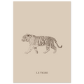 Le tigre version marron, illustration originale au crayon sur papier mat