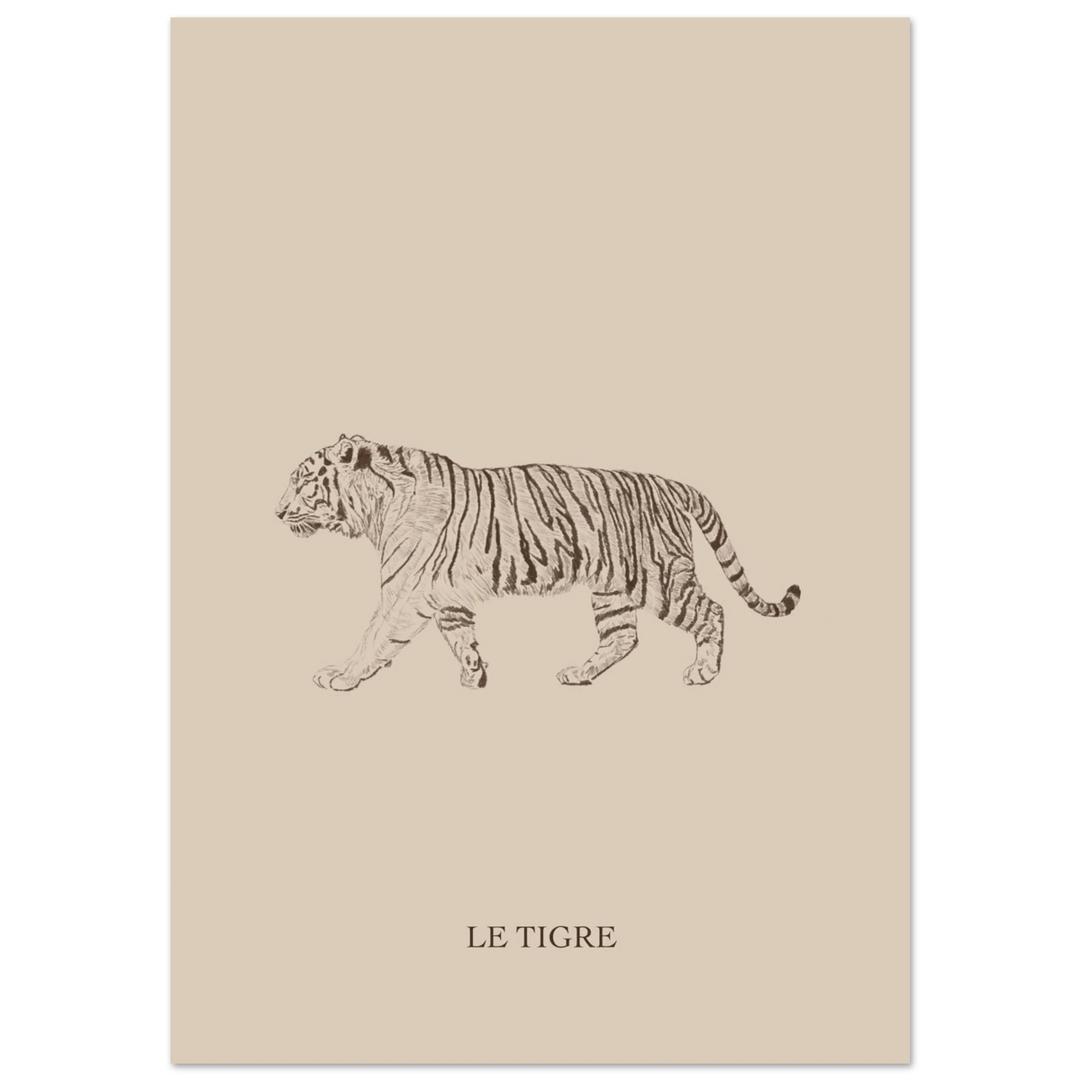 Le tigre version marron, illustration originale au crayon sur papier mat