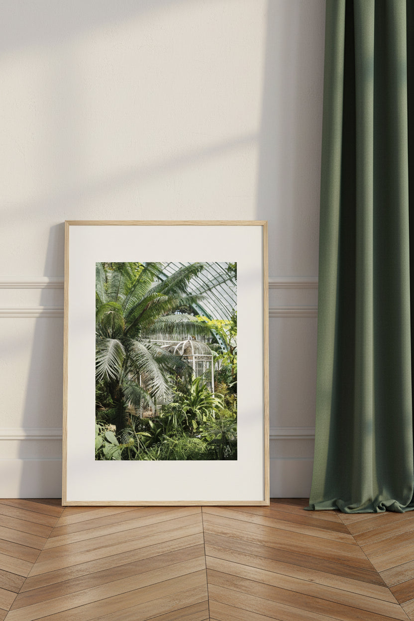 Serre parisienne N°2, feuillages tropicaux sous verrière – photo encadrée