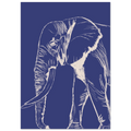L'éléphant version bleu, dessin au crayon aux nuances délicates