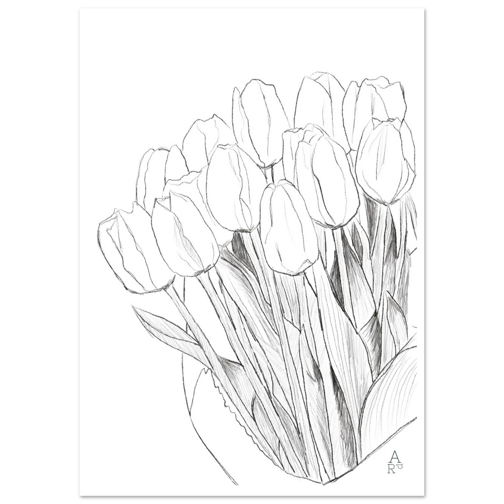 Tulip bouquet, bouquet de tulipes au crayon par Aude de Riberolles – affiche d'art