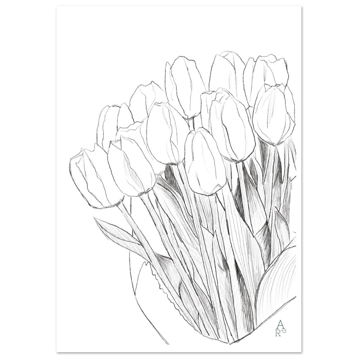 Tulip bouquet, bouquet de tulipes au crayon par Aude de Riberolles – affiche d'art