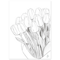 Affiche Tulip bouquet en décoration intérieure, illustration au crayon d'Aude de Riberolles