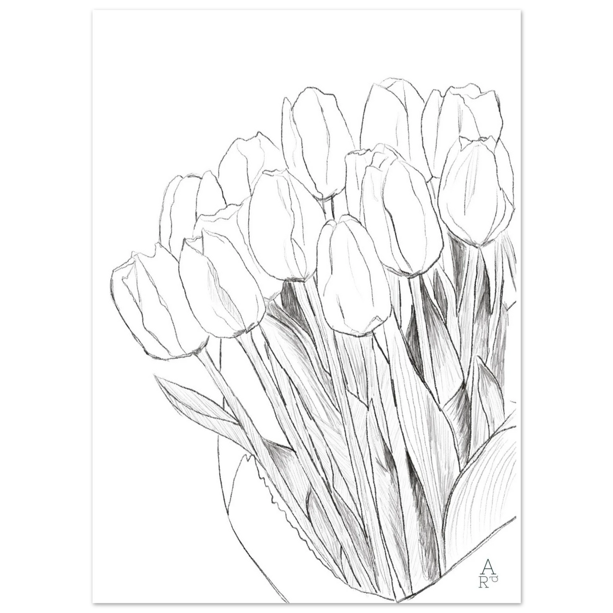 Affiche Tulip bouquet en décoration intérieure, illustration au crayon d'Aude de Riberolles