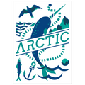 Artic, papier poché de Julie Parmentier – visuel 4