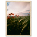 dfcc1234-46ce-4a7d-b7c1-9c10678002ce