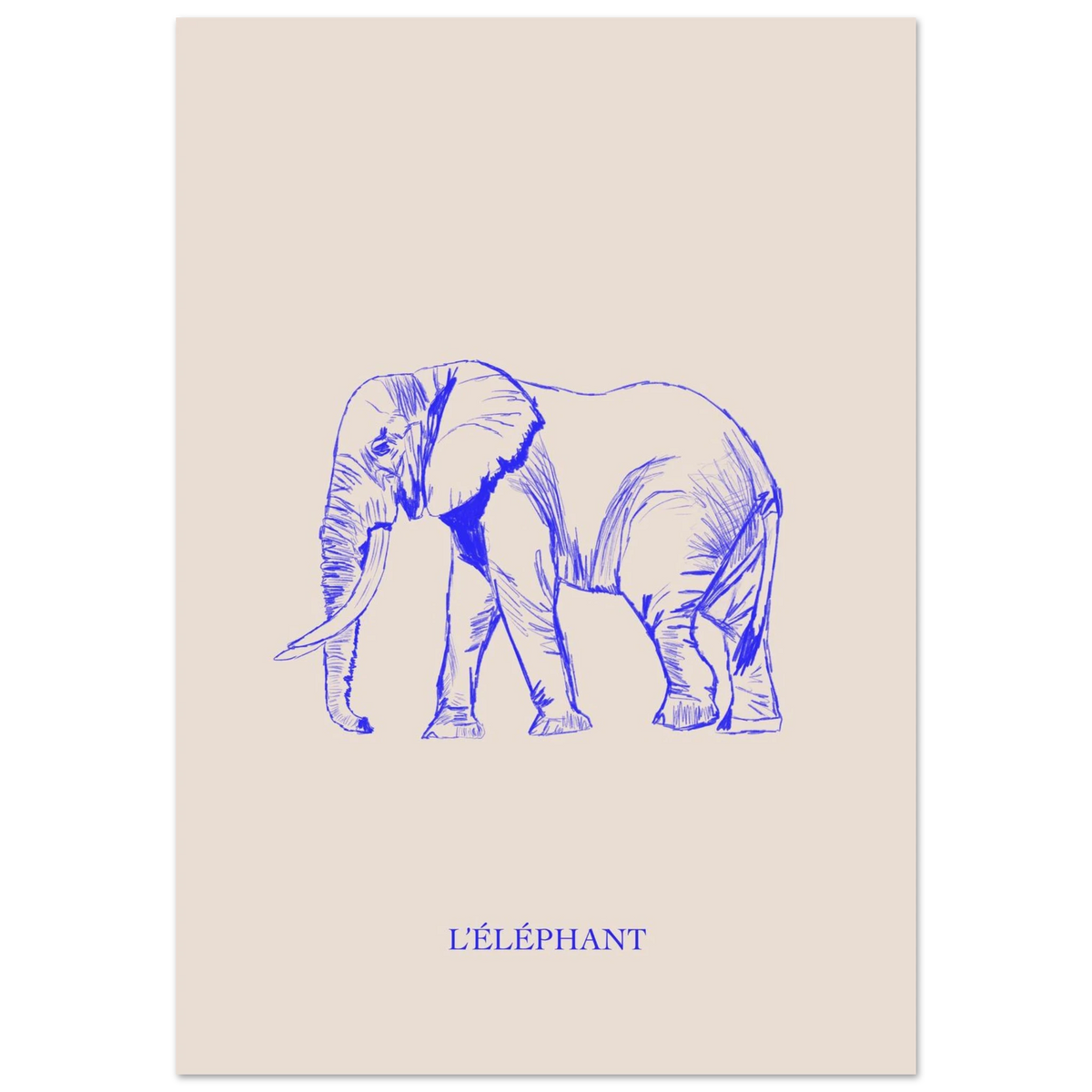 L'éléphant, version bleu électrique, affiche illustrée au crayon par Aude de Riberolles – visuel 2