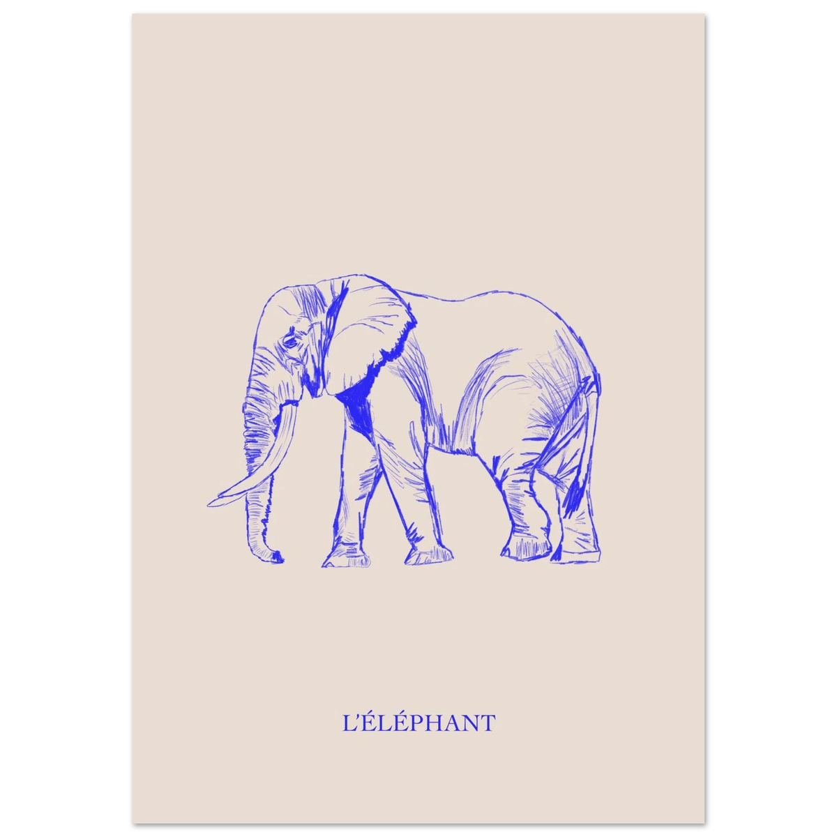 L'éléphant, version bleu électrique, affiche illustrée au crayon par Aude de Riberolles – visuel 3