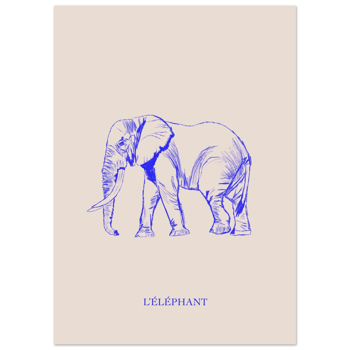 L'éléphant, version bleu électrique, affiche illustrée au crayon par Aude de Riberolles – visuel 4