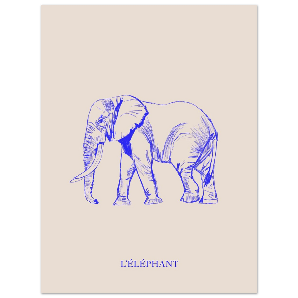 L'éléphant, version bleu électrique, affiche illustrée au crayon par Aude de Riberolles – visuel 5