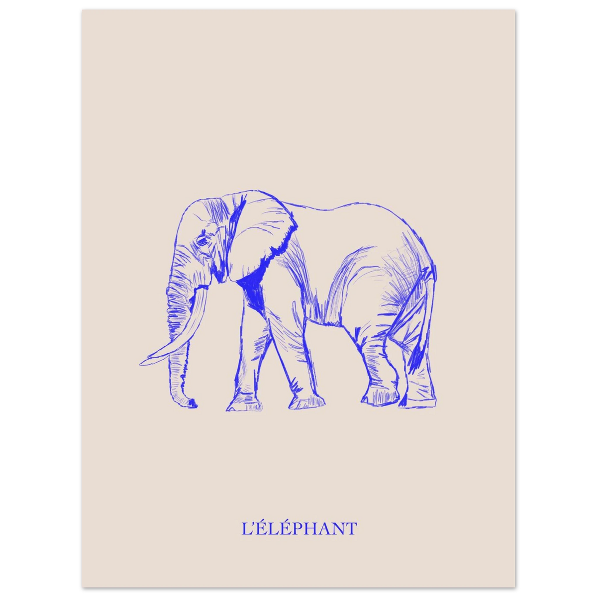 L'éléphant, version bleu électrique, affiche illustrée au crayon par Aude de Riberolles – visuel 5