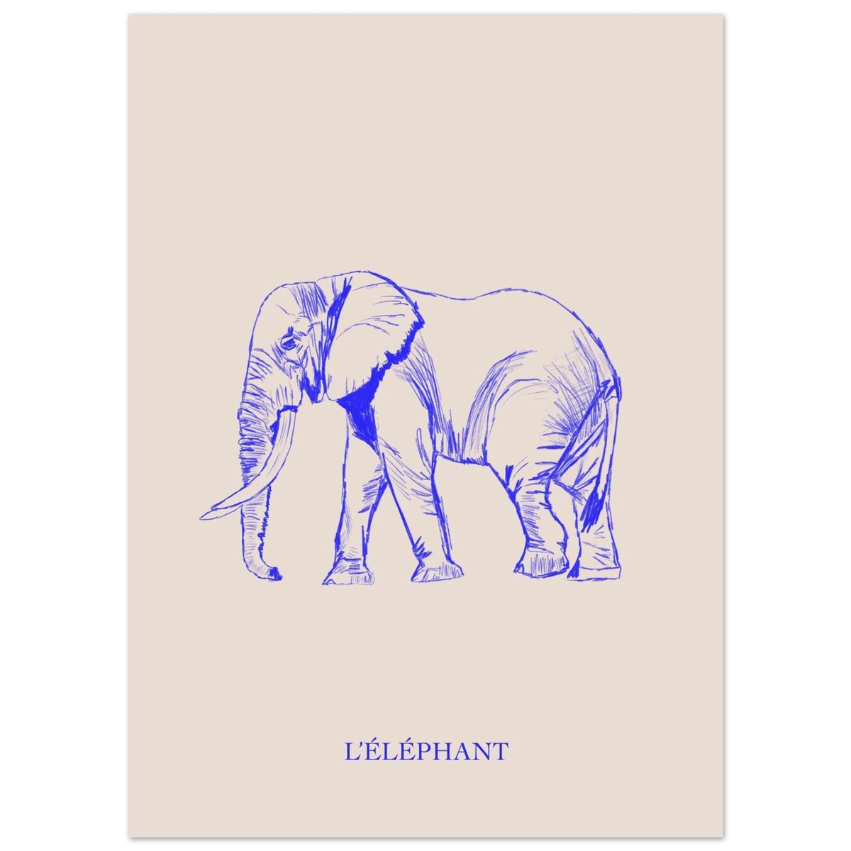 L'éléphant, version bleu électrique, affiche illustrée au crayon par Aude de Riberolles – visuel 7