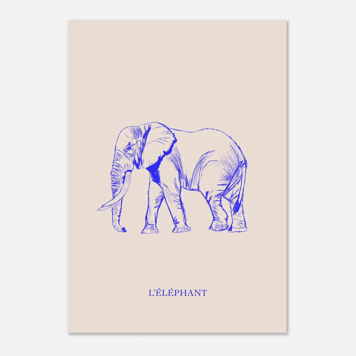 L'éléphant, version bleu électrique, affiche illustrée au crayon par Aude de Riberolles – visuel 8