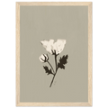 La fleur blanche, affiche illustrée d'Émilie J. Ouellet encadrée – visuel 7