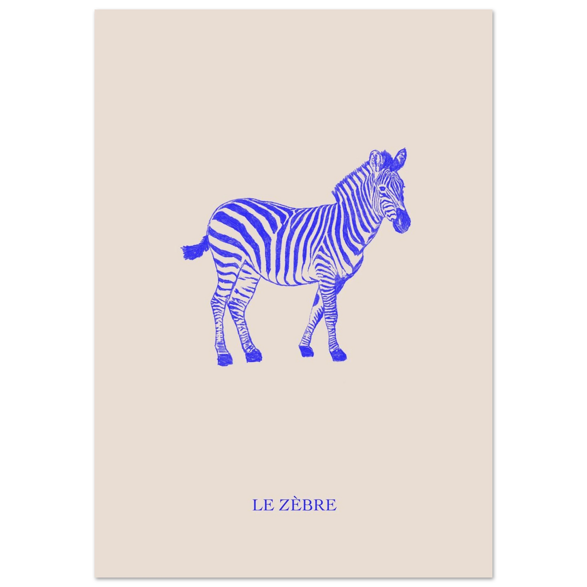 Le zèbre, version bleu électrique, affiche illustrée au crayon par Aude de Riberolles – visuel 2