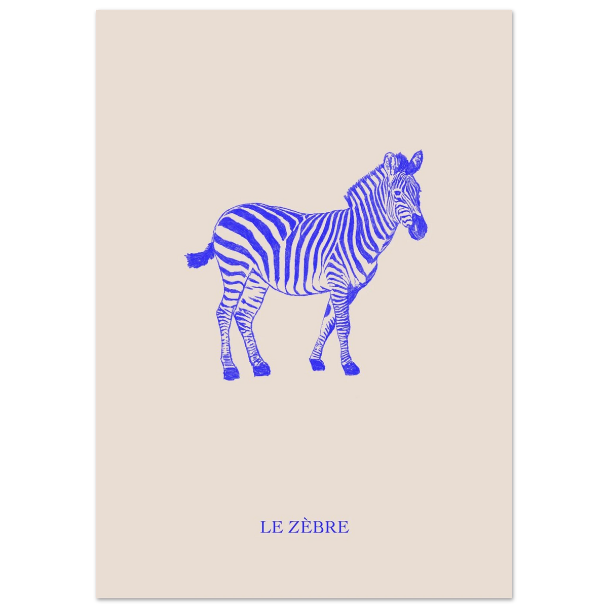 Le zèbre, version bleu électrique, affiche illustrée au crayon par Aude de Riberolles – visuel 4