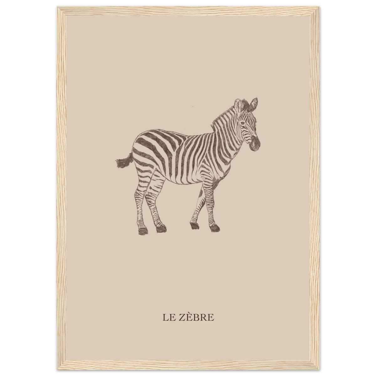 Le zèbre version marron, affiche encadrée – visuel 3, Aude de Riberolles