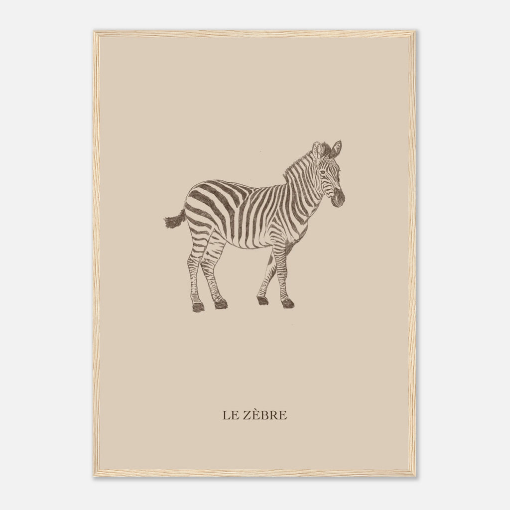 Le zèbre version marron, affiche encadrée – visuel 7, Aude de Riberolles