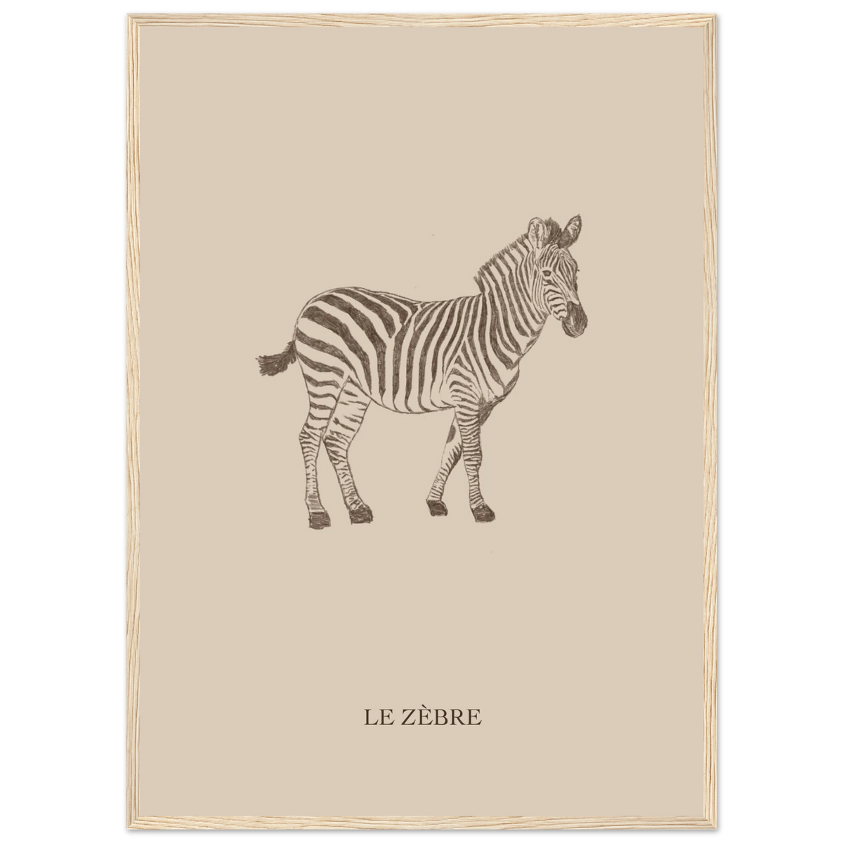 Le zèbre version marron, illustration au crayon d'Aude de Riberolles – affiche encadrée pour chambre d'enfant