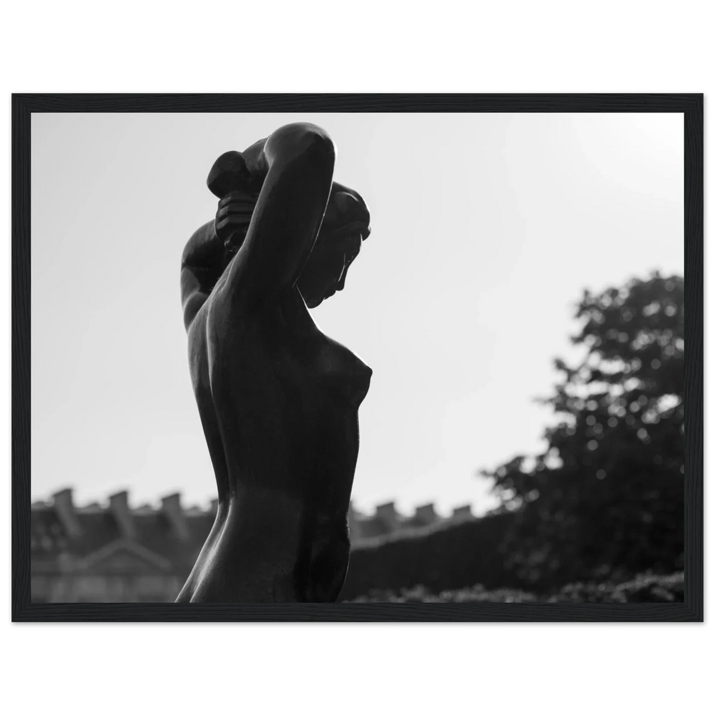 Paris, Jardin du Carrousel, photographie d'art de Mohamed Khalil encadrée – visuel 3