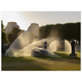 Paris, Jardin du Carrousel, photographie d'art de Mohamed Khalil – visuel 3