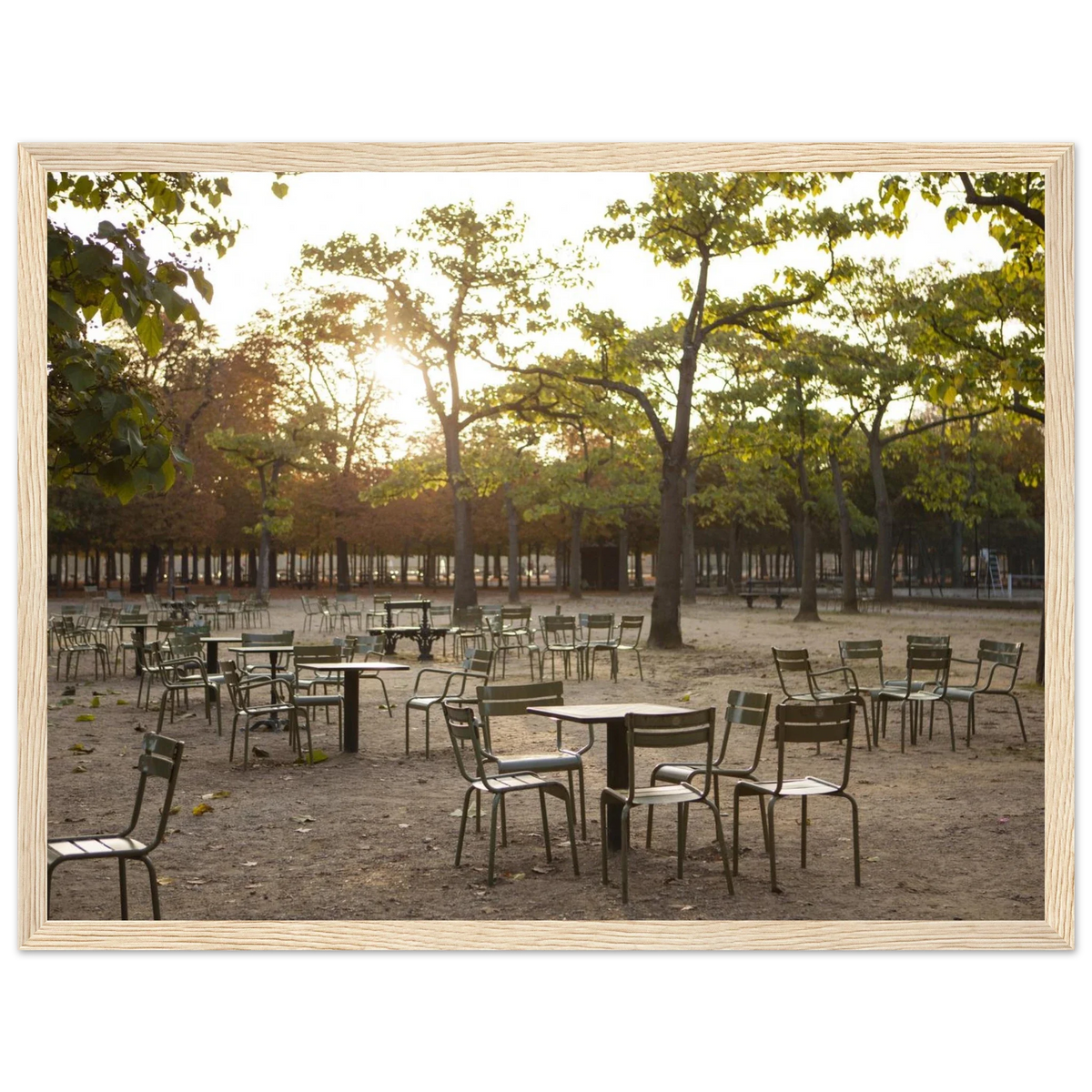 Paris, Jardin du Luxembourg, photographie d'art de Mohamed Khalil encadrée – visuel 3