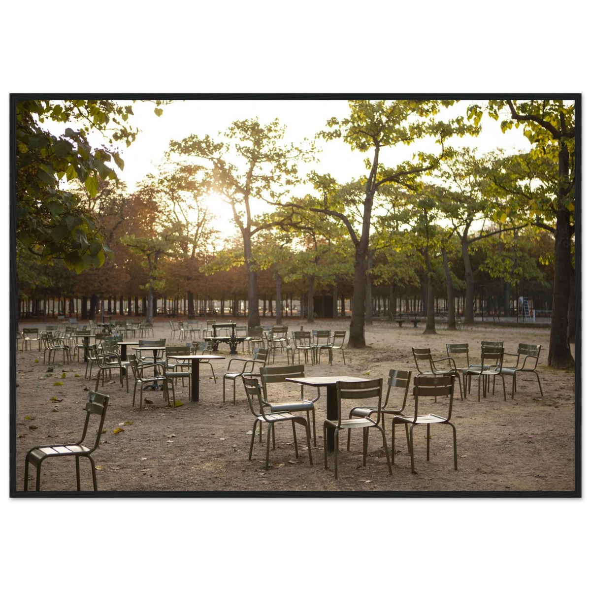 Paris, Jardin du Luxembourg, photographie d'art de Mohamed Khalil encadrée – visuel 4