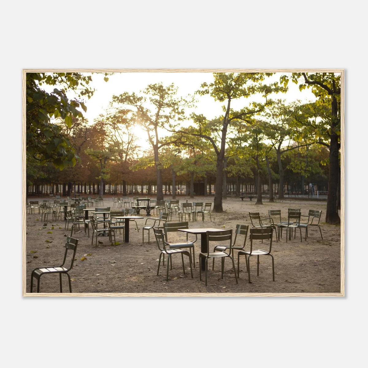 Paris, Jardin du Luxembourg, photographie d'art de Mohamed Khalil encadrée – visuel 7