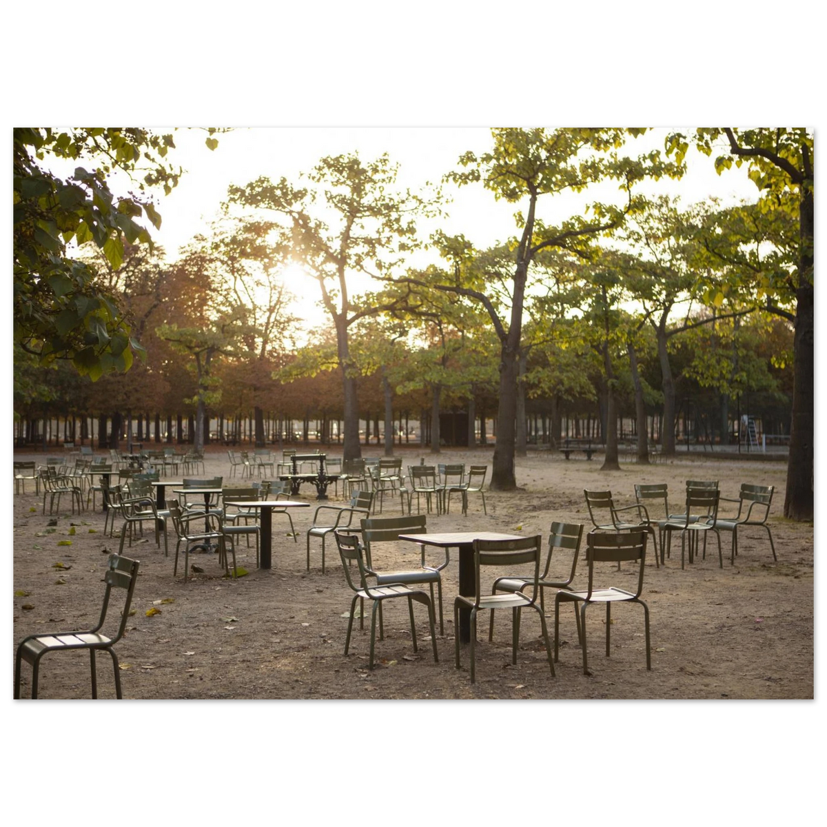 Paris, Jardin du Luxembourg, photographie d'art de Mohamed Khalil – visuel 4