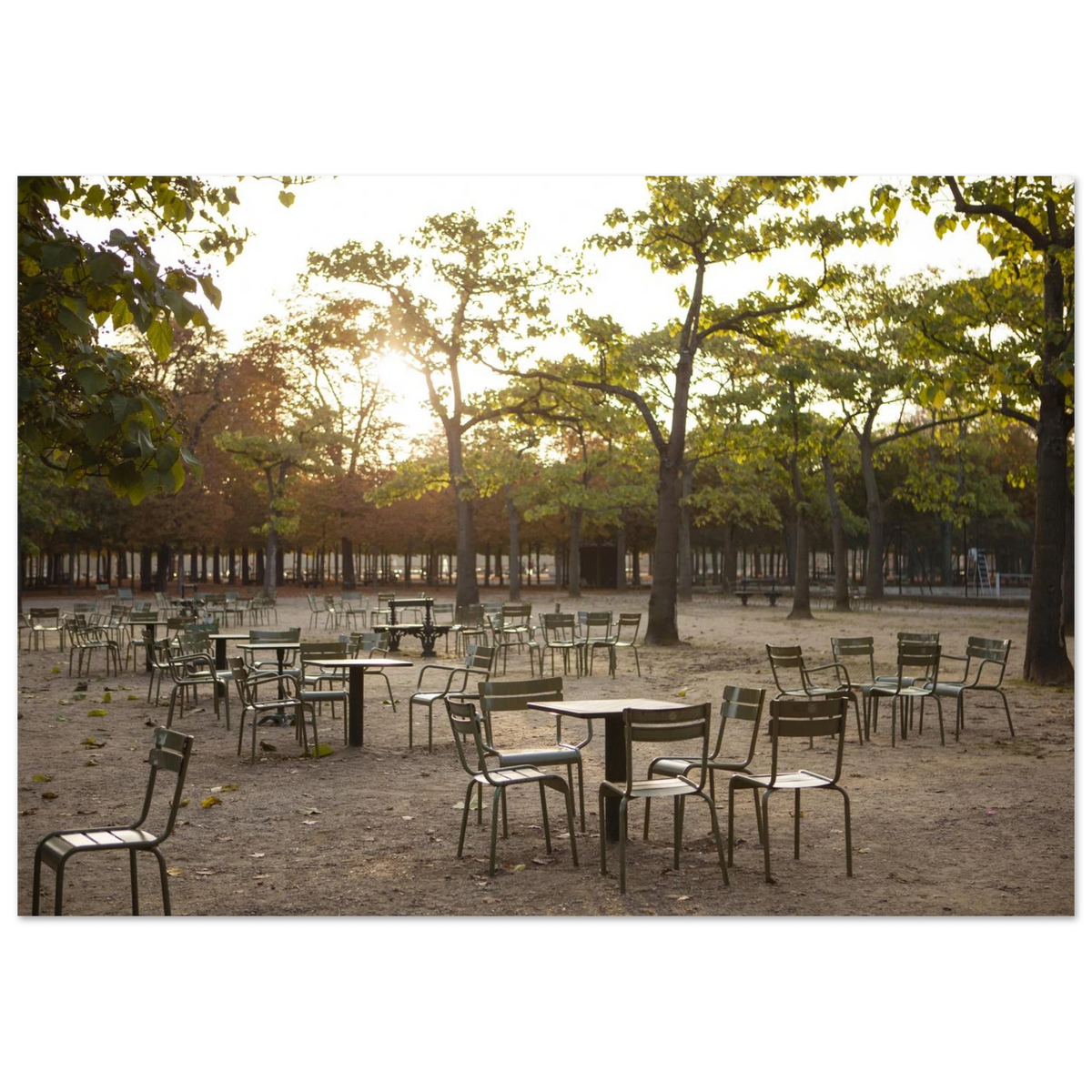 Paris, Jardin du Luxembourg, photographie d'art de Mohamed Khalil – visuel 8