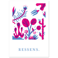 Ressens, papier poché de Julie Parmentier – visuel 4