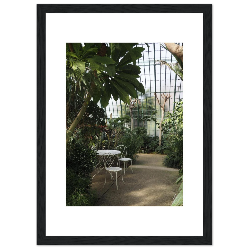 Serre parisienne N°1, photographie végétale encadrée – visuel 3, Aude de Riberolles